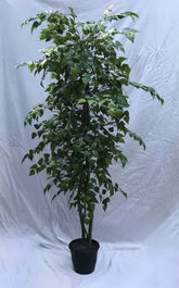 7 Foot Artificial Silk Birch Tree  on Natural Wood Silk Plants Canada